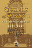 Sparks of Wisdom From Rabbi Yehonatan Eyeshitz