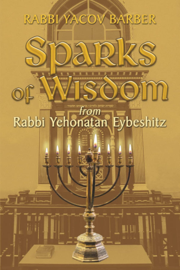Sparks of Wisdom From Rabbi Yehonatan Eyeshitz