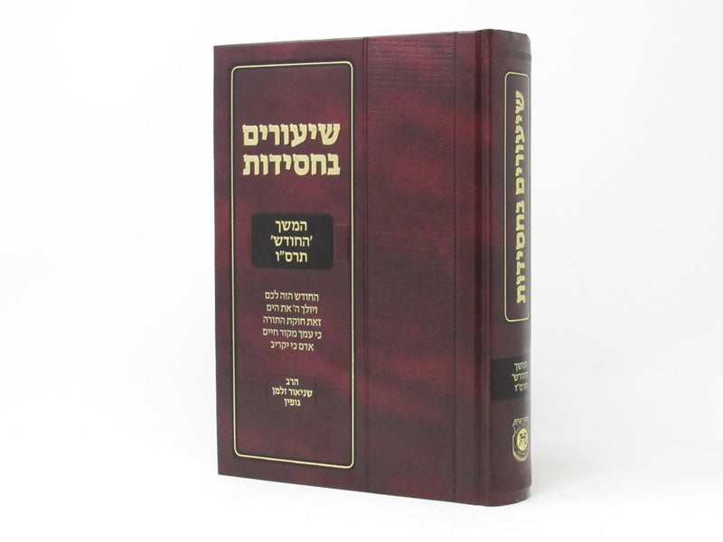 Shiurim Bechasiddus - שיעורים בחסידות