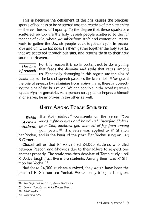 Teachings of The Abir Yaakov - Volume 2