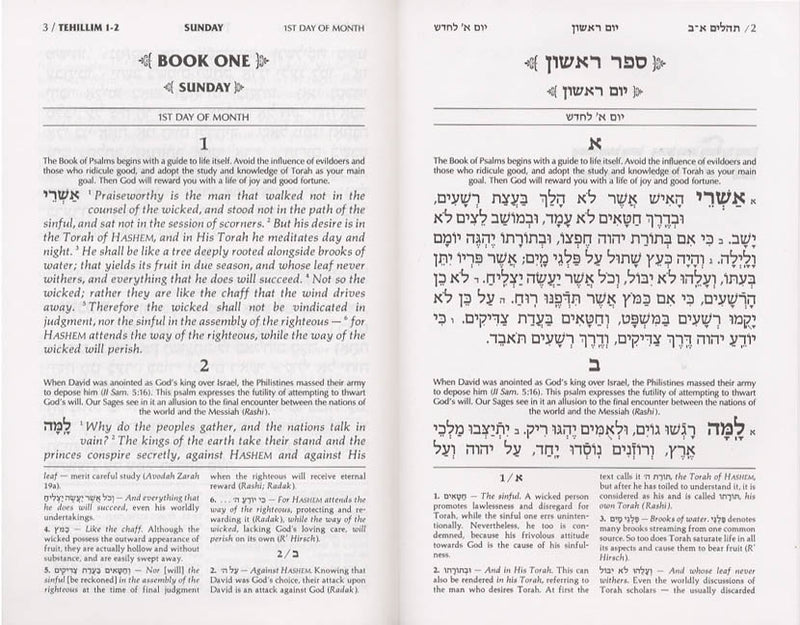 Artscroll Classic Hebrew-English Tehillim/Psalms - Brown Yerushalayim Leather