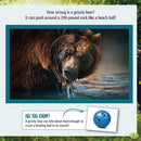 Who Is the Strongest Animal in the Forest?