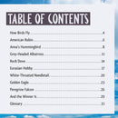 Who Is the Fastest Bird in the Sky?