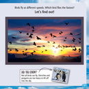 Who Is the Fastest Bird in the Sky?