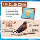 Who Is the Fastest Bird in the Sky?