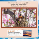 Who Is the Fastest Bird in the Sky?