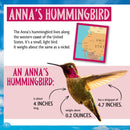 Who Is the Fastest Bird in the Sky?