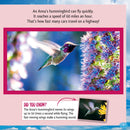 Who Is the Fastest Bird in the Sky?