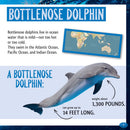 Who Hunts Deepest in the Ocean?