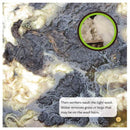 From Wool to Tallis