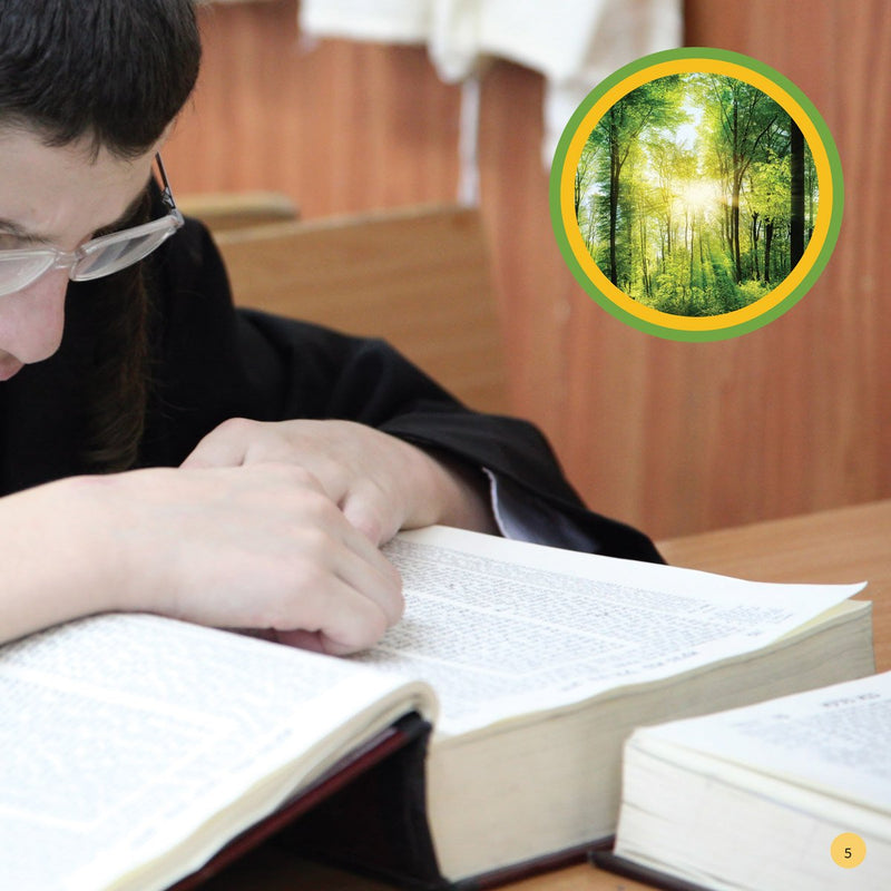 From Wood To Sefer