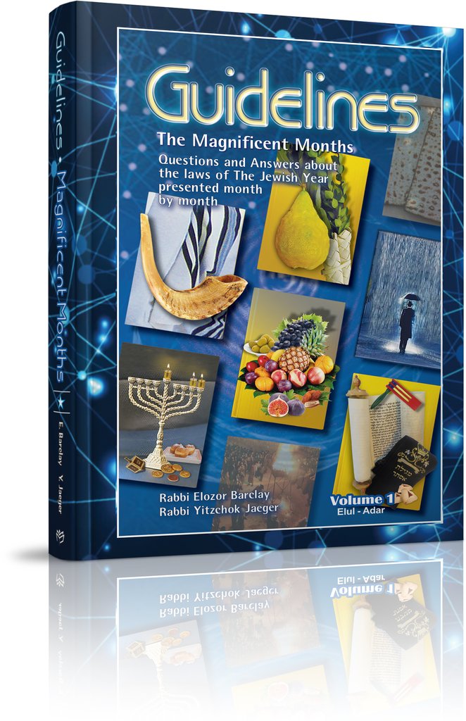 Guidelines: The Magnificent Months 2 Volume Set