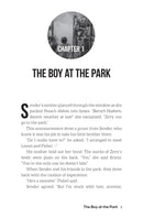 The Accidental Adventures: The Mystery in the Warehouse - Volume 2