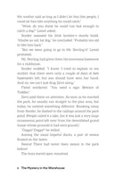 The Accidental Adventures: The Mystery in the Warehouse - Volume 2