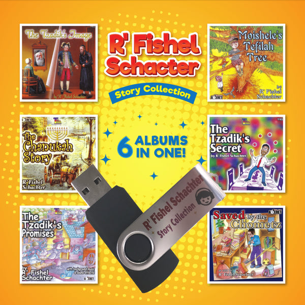The R' Fishel Schachter Story Collection (USB)