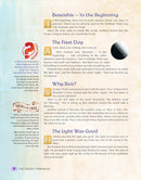 The Weekly Parashah Series: 5 Volume Set - The Jaffa Family Edition