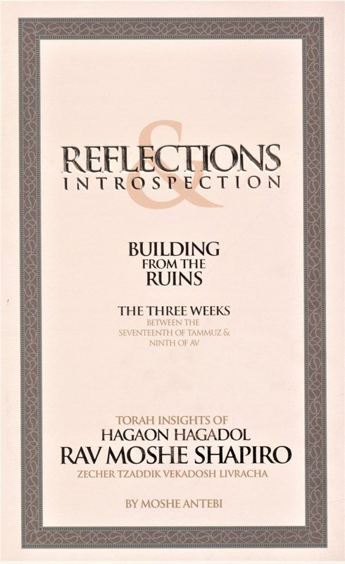Reflections & Introspection: Building From The Ruins